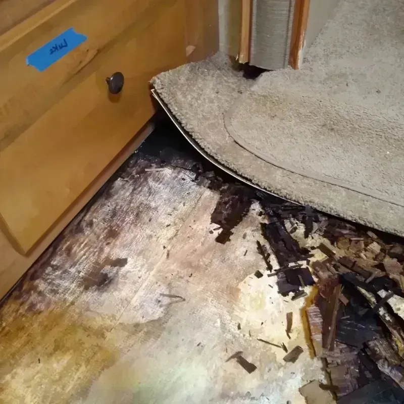 Best Wood Floor Water Damage Service in Buenaventura Lakes, FL